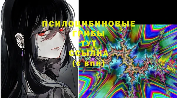 МДПВ Пролетарск