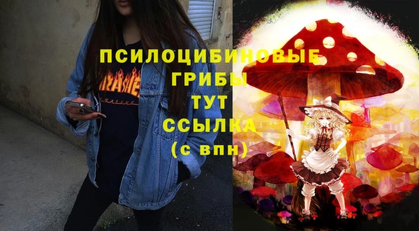 МДПВ Пролетарск